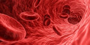L'ostéopathie viscérale favorise une meilleur circulation sanguine.